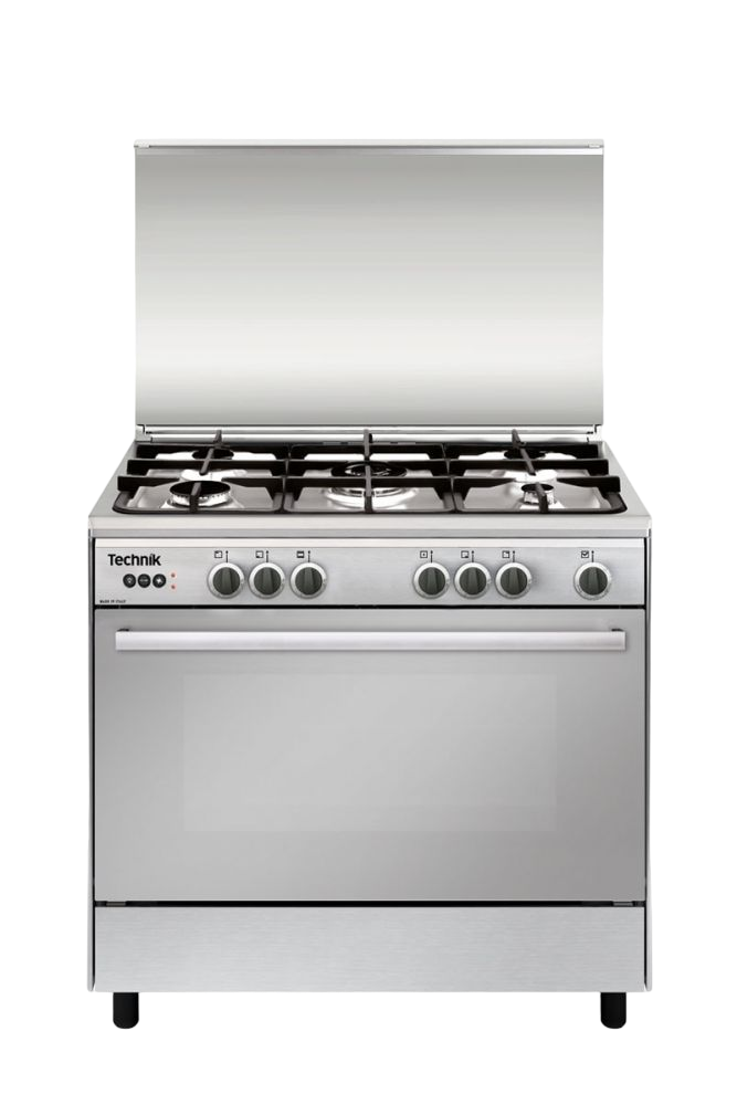 Technik Italia Gas Burner (ITG9650EVSSC)